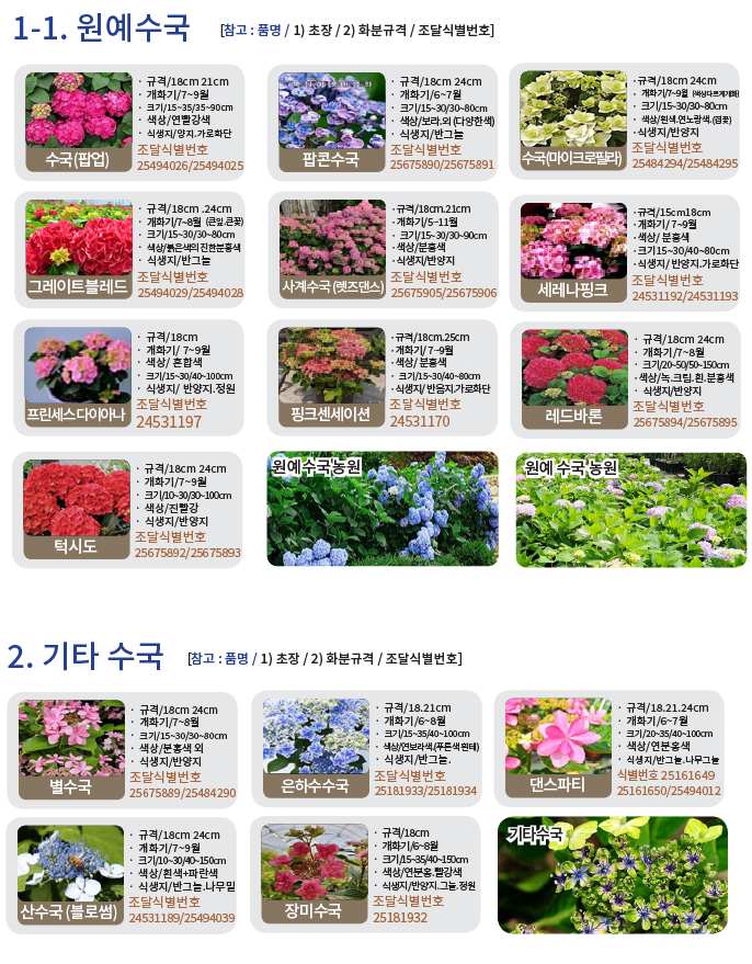 수국류